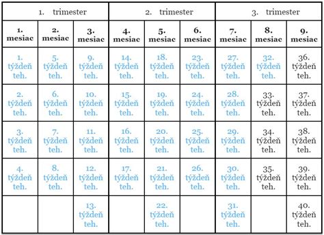 Prvý týždeň tehotenstva: Čo sa deje v tele ženy?